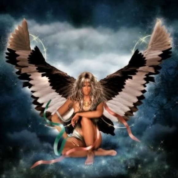 Meet your Posher, Dawn - Picture 2 of 2